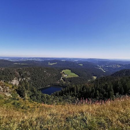 Fewo 1 - Residenz Schauinsland - Mit Sauna, E-Ladestation, Todtnauberg, Bei Feldberg Dış mekan fotoğraf
