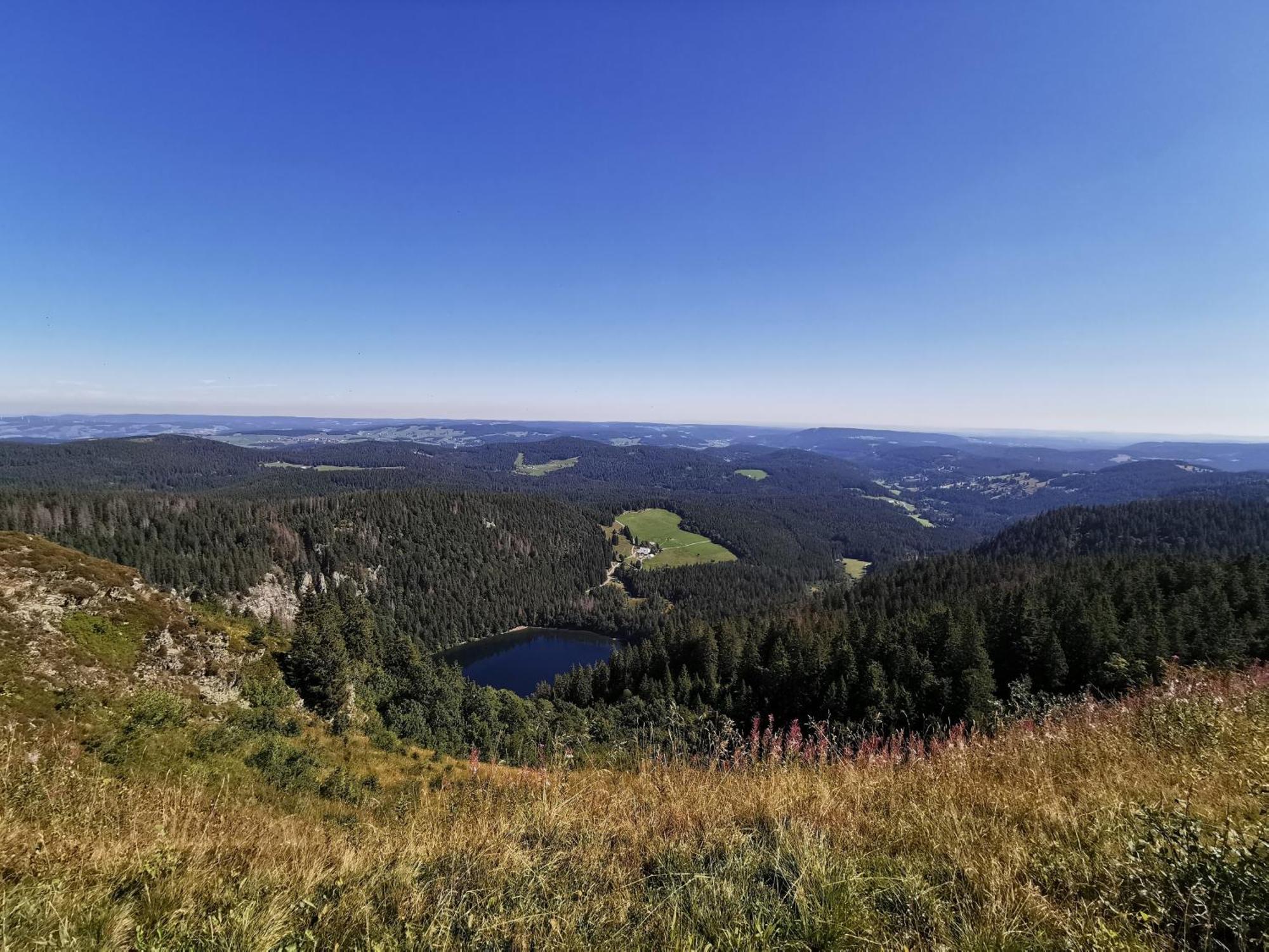 Fewo 1 - Residenz Schauinsland - Mit Sauna, E-Ladestation, Todtnauberg, Bei Feldberg Dış mekan fotoğraf