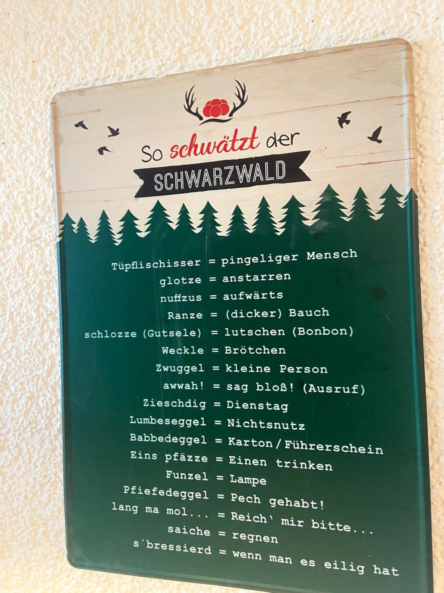 Fewo 1 - Residenz Schauinsland - Mit Sauna, E-Ladestation, Todtnauberg, Bei Feldberg Dış mekan fotoğraf